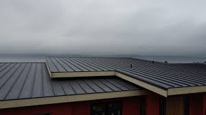 Best Sheet Metal Roofing  in Millington, NJ